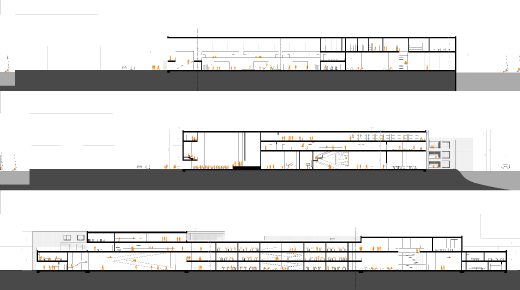 Cross and longitudinal sections